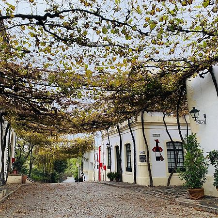 Apartament Atico Sonnenschein Jerez de la Frontera Zewnętrze zdjęcie