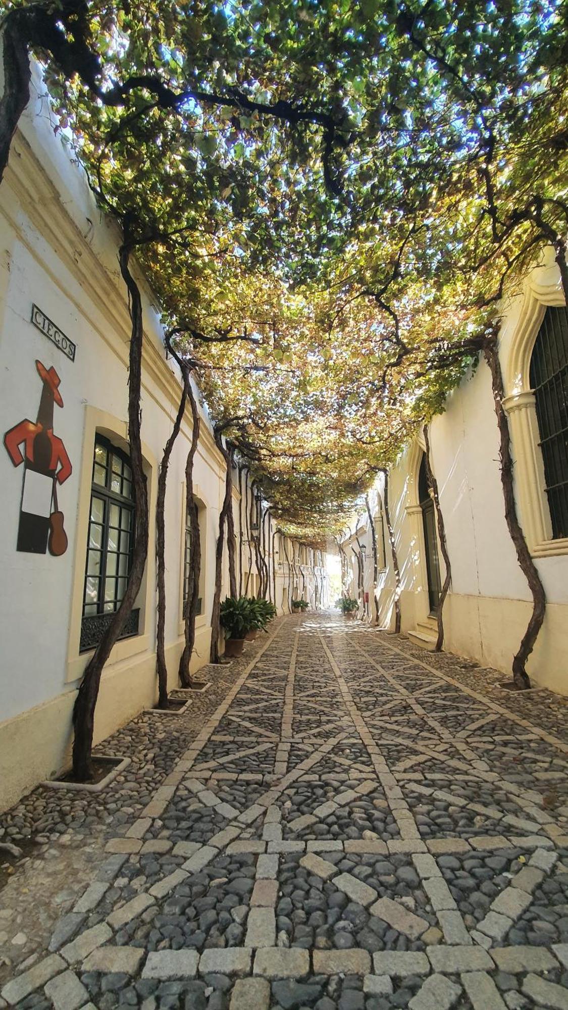 Apartament Atico Sonnenschein Jerez de la Frontera Zewnętrze zdjęcie